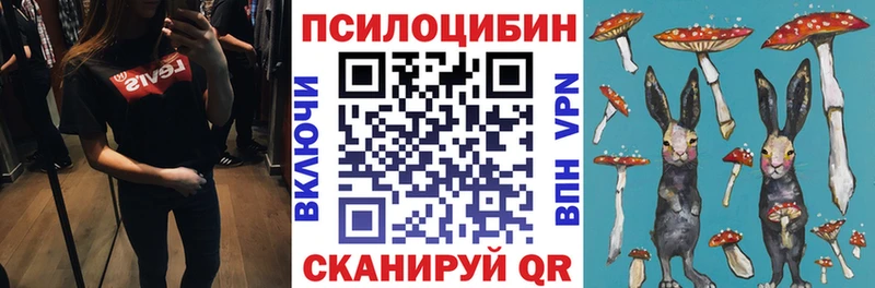 Псилоцибиновые грибы мухоморы Новосокольники