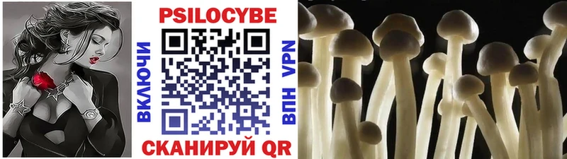 Псилоцибиновые грибы мухоморы  Новосокольники 